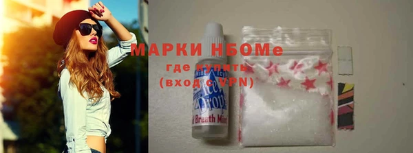 индика Пестово
